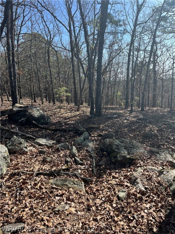 TBD 1156th Ave, Red Oak, OK 74563 - photo 5