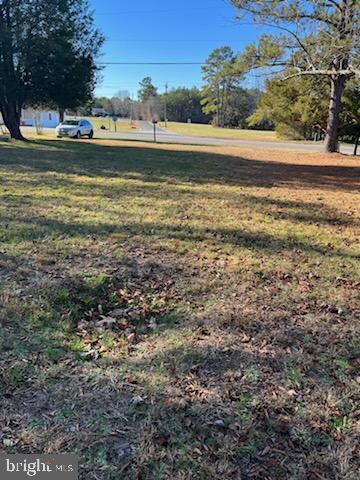 7982 Leedstown Rd, Colonial Beach, VA 22443 - photo 2