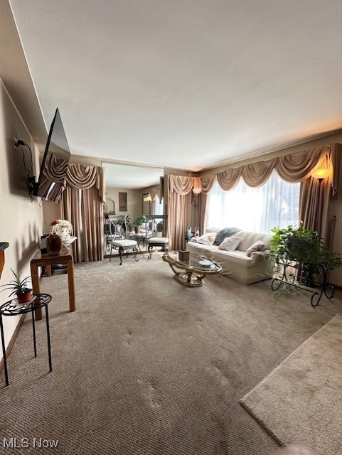 Living area with carpet