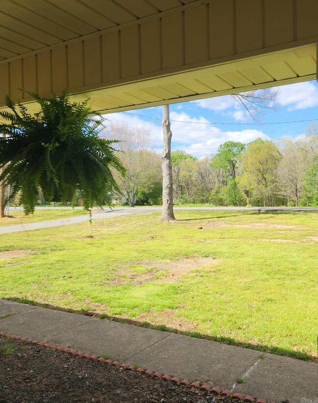 49 Fiegel Loop, Conway, AR 72032 - photo 4