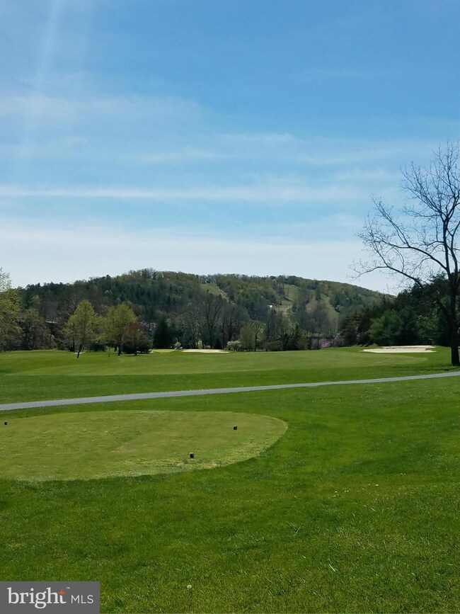 2488 Fairway Dr unit 629, Basye, VA 22810 - photo 3