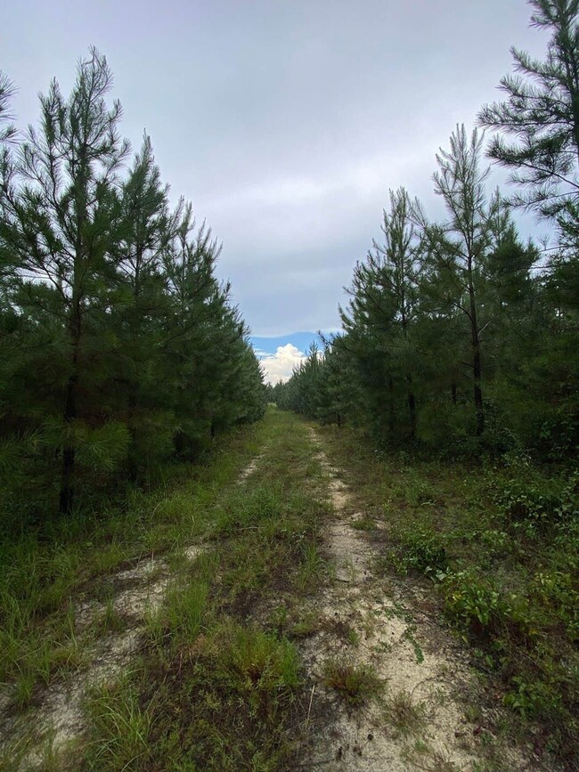 0 Highway 242 unit 24270248, Bartow, GA 30413 - photo 3