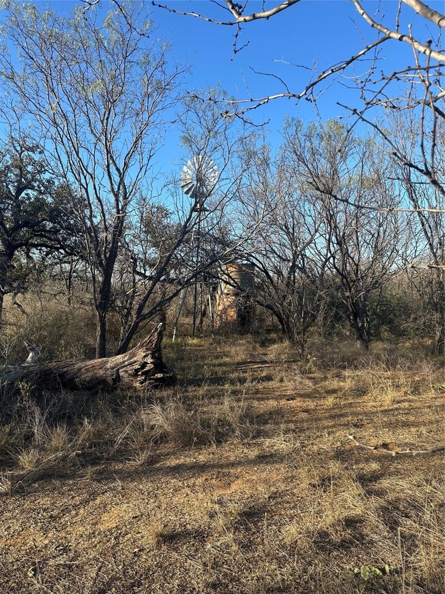 CR 139 Thomas 75 Acre Tract, Bangs, TX 76823 - photo 5