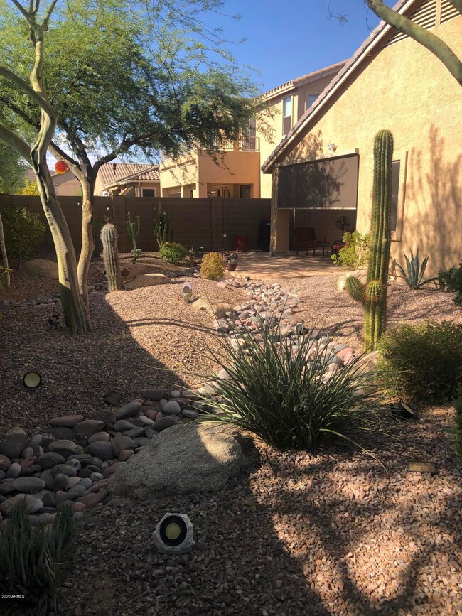 27th ave Backyard