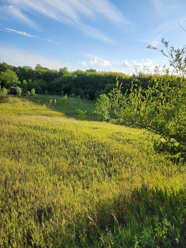 XXXX Country Estates Ct, Ida Township, MN 56308 - photo 3