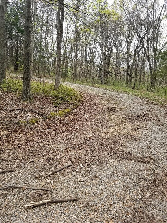 0 Reba Ln unit 1180911, Bella Vista, AR 72715 - photo 4