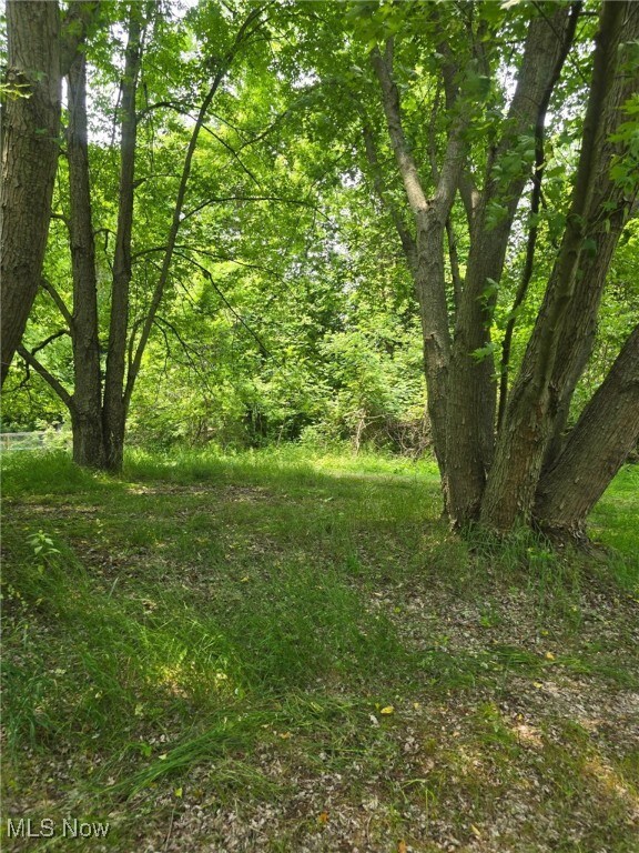0 Center Rd, Conneaut, OH 44030 - photo 3