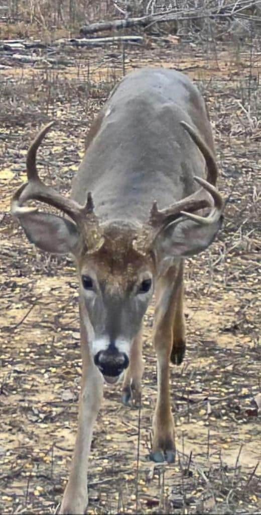 1638 U 35 L 15, Pachuta, MS 39347 - photo 3