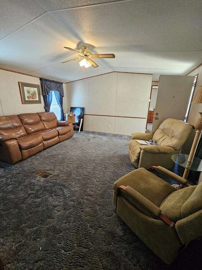 232 Old Bainbridge Rd, Baconton, GA 31716 - photo 5