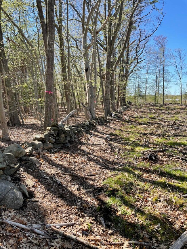 Classic New England