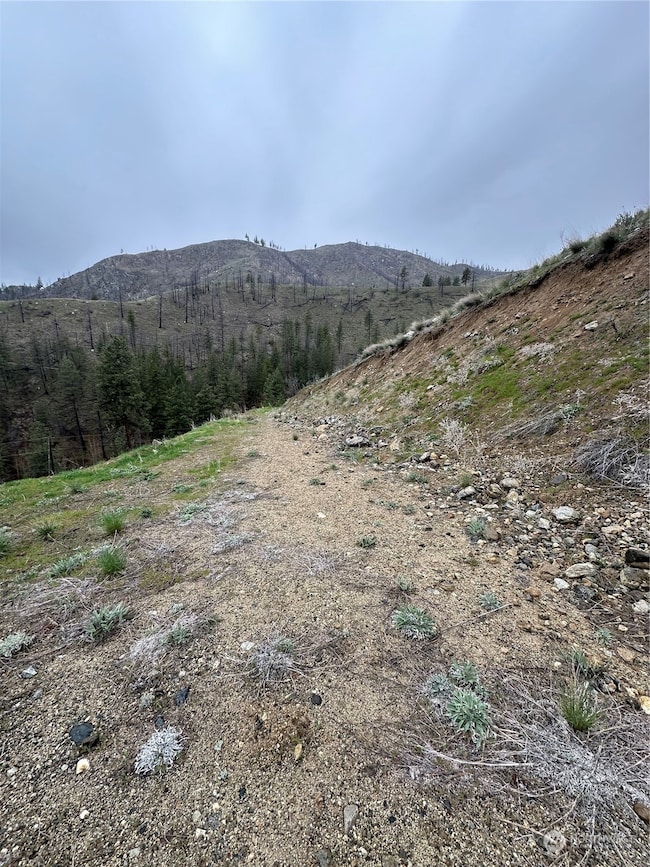 2830 Antoine Creek Rd (Lot D), Chelan, WA 98816 - photo 4