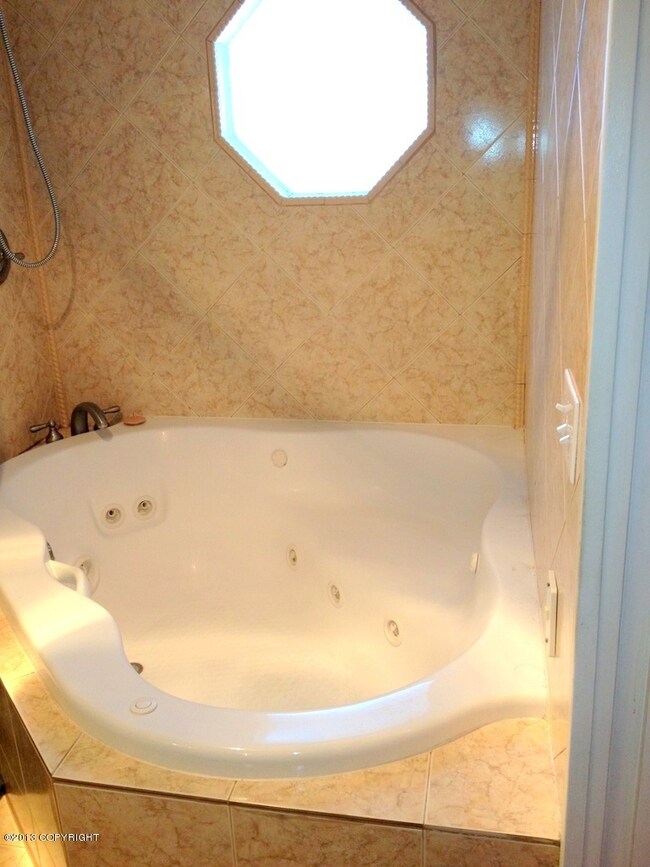 Master Bath Spa Tub