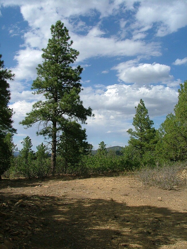 D31-001