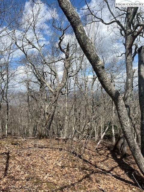 TBD Fire Tower Rd, Boone, NC 28607 - photo 4