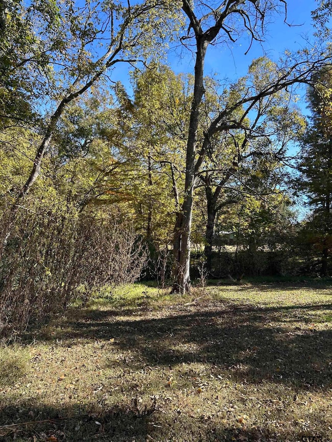 TBD Keith St, Mount Vernon, TX 75457 - photo 4