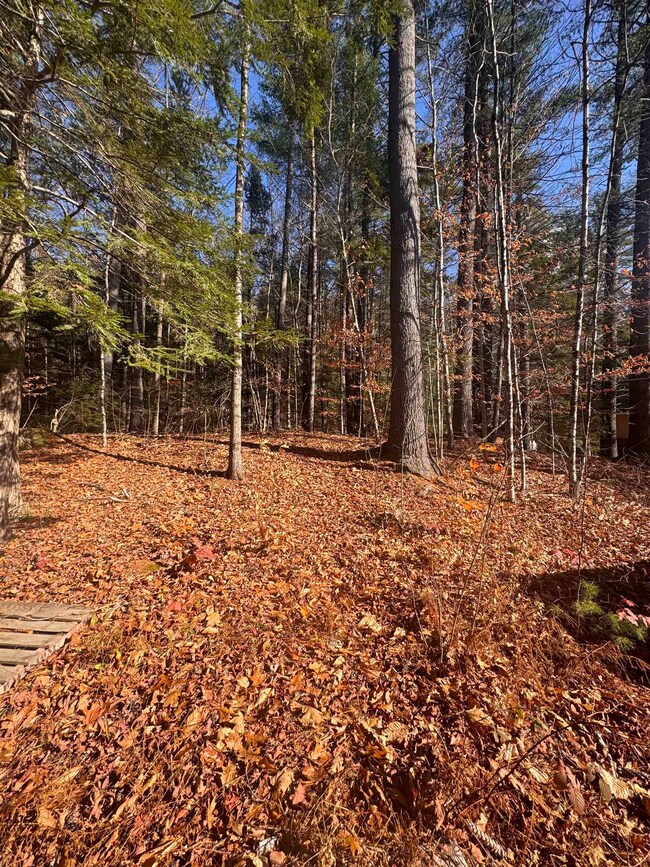 00 Newbury Rd unit 764-534, Sutton, NH 03260 - photo 5