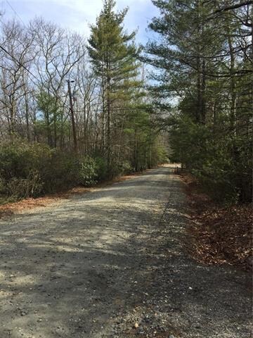 Photograph taken by AMS Home Sales Broker Anna M S