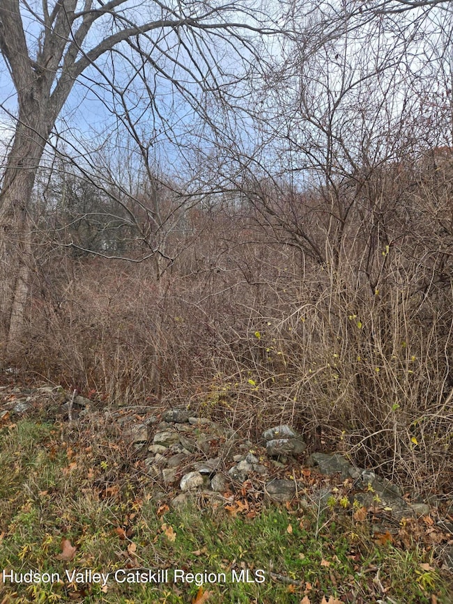 0 Farm Rd, Copake, NY 12516 - photo 3