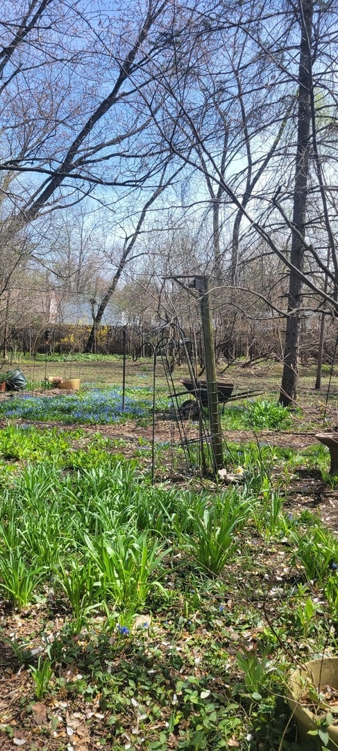 6921 Clarendon Hills Rd, Darien, IL 60561 - photo 3