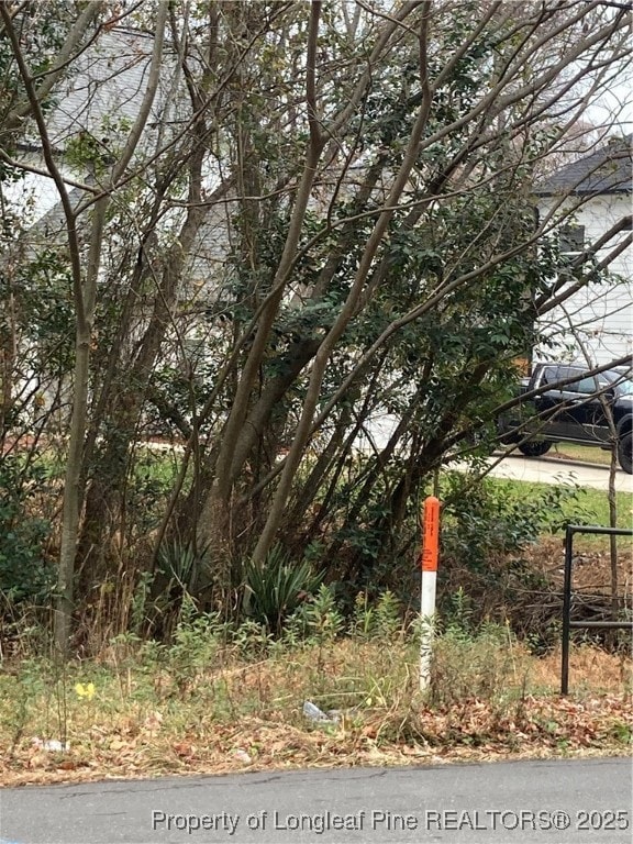 1333 Caldwell Williams Rd, Charlotte, NC 28216 - photo 2