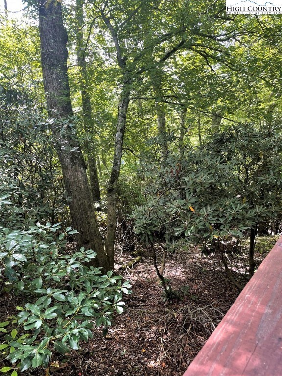 365 Balsam, Boone, NC 28607 - photo 4