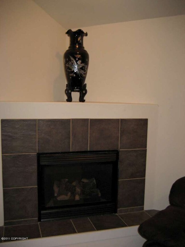 05 Fireplace