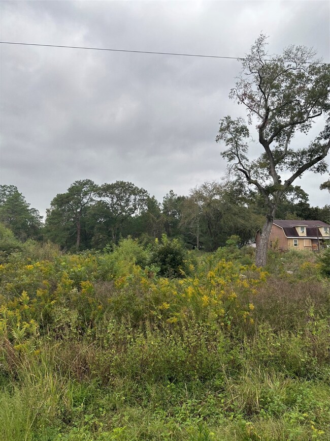 0 Vallie St, Pinehurst, TX 77362 - photo 3