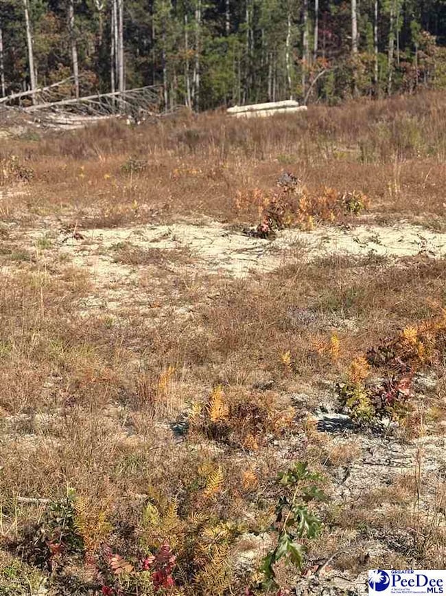 TBD Ruby Rd, Hartsville, SC 29550 - photo 5