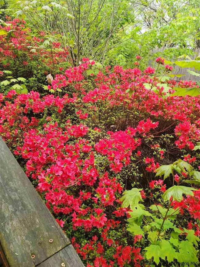 200 Patura Rd, Wallkill, NY 12589 - photo 2