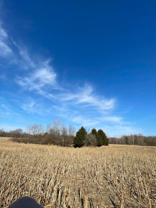 0 48th Ave unit 25050708, Lawrence, MI 49064 - photo 2