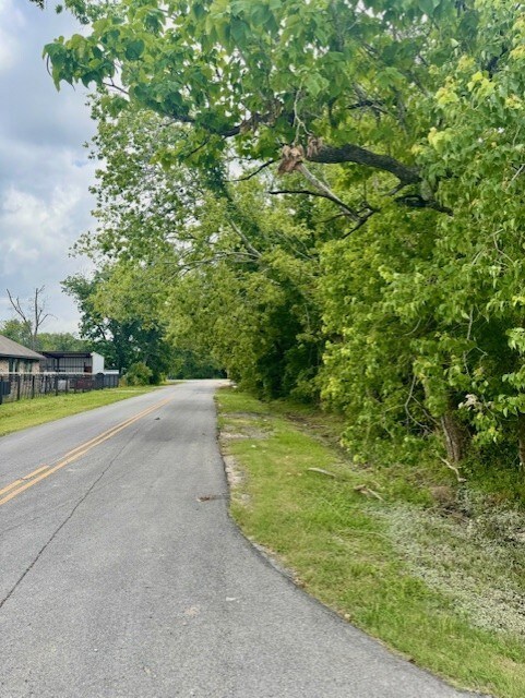 Another look at the corner - west side of lot