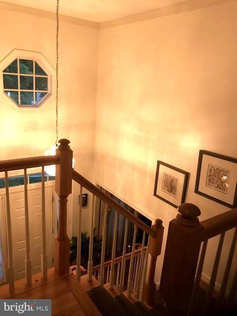 2203 Arctic Fox Dr, Bowie, MD 20721 - photo 6