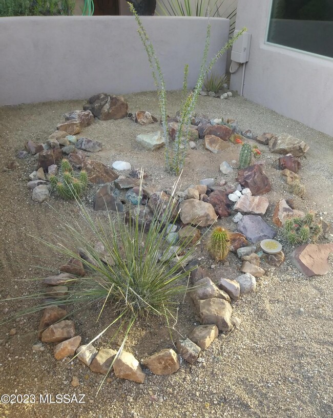 Front garden