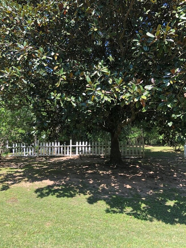 201 Rachelle Dr, Oxford, MS 38655 - photo 7