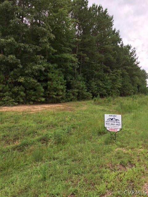 0 Baybranch Crossing unit 1826663, Prince George, VA 23842 - photo 2