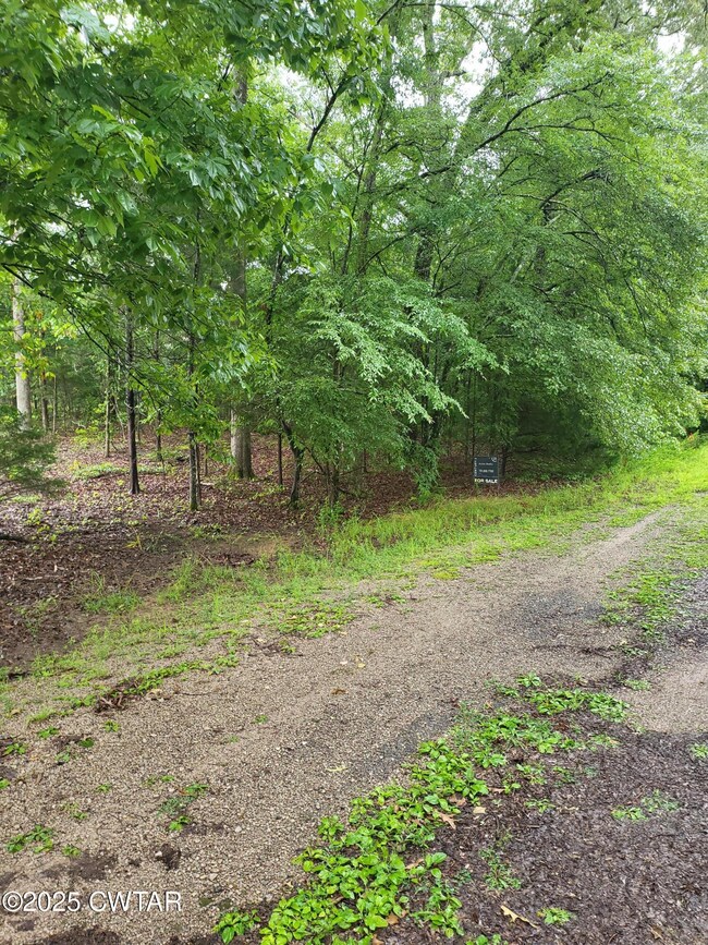 383 Tupelo Cove, Saulsbury, TN 38067 - photo 6