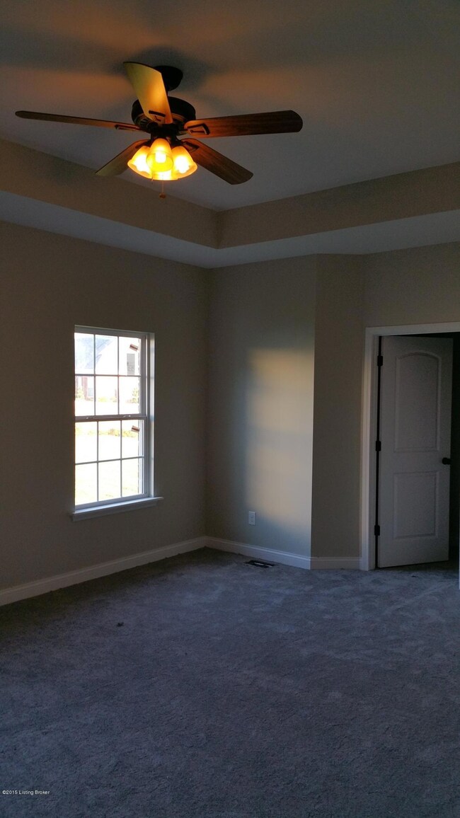 517 Concord Grape Way, Vine Grove, KY 40175 - photo 6