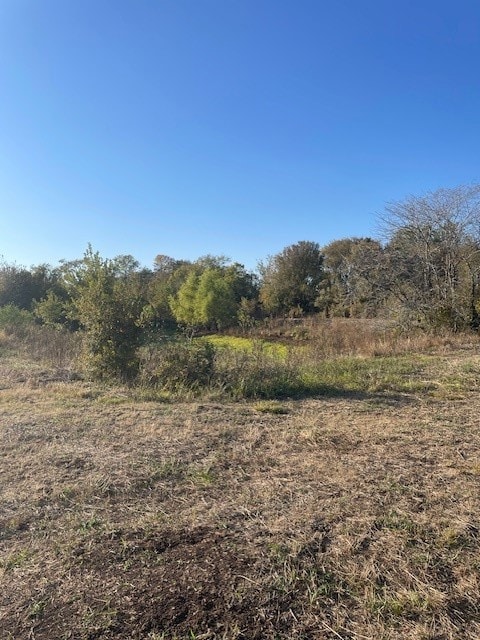 40606 Holik Rd, Hempstead, TX 77445 - photo 4