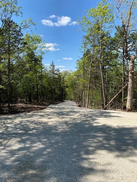 Tbd Bluff View Rd, White River Township, MO 65747 - photo 6