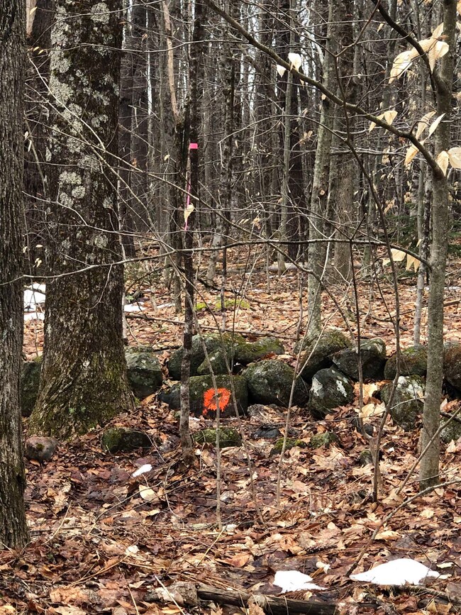 0 Turner Hill Rd unit Lot 17 4991048, Antrim, NH 03440 - photo 3