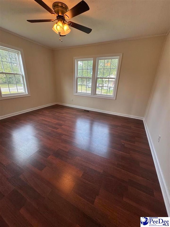 725 N Park St, Mullins, SC 29574 - photo 3