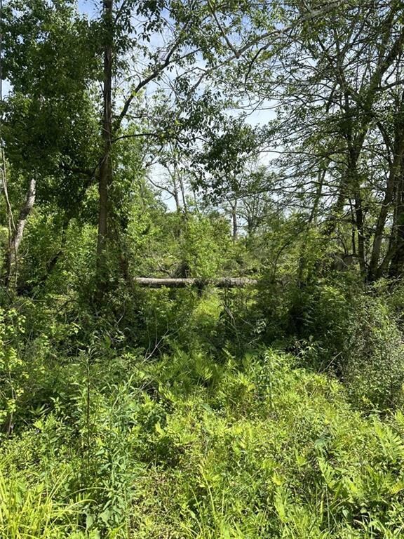 Lot 59 Fletchers Isle Rd, Ponchatoula, LA 70454 - photo 5