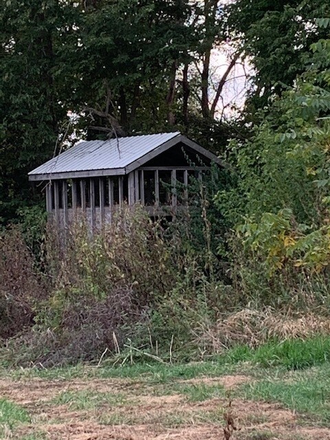 11666 Backbone Rd, Wyanet, IL 61379 - photo 5