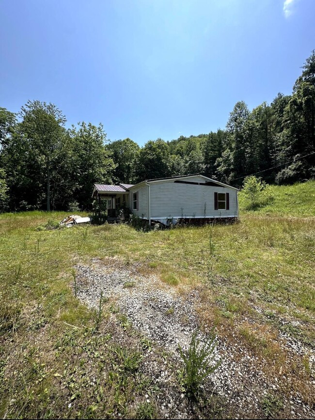 4 Mile Creek 30 25 Acres, Branchland, WV 25506 - photo 5