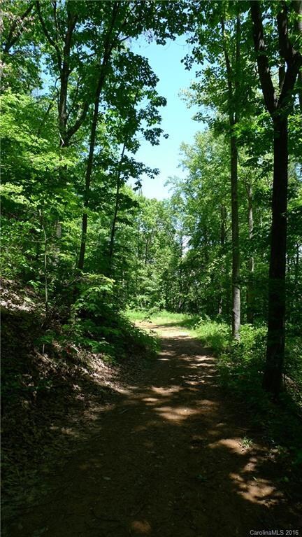 99999 Blossom Ridge, Leicester, NC 28748 - photo 4