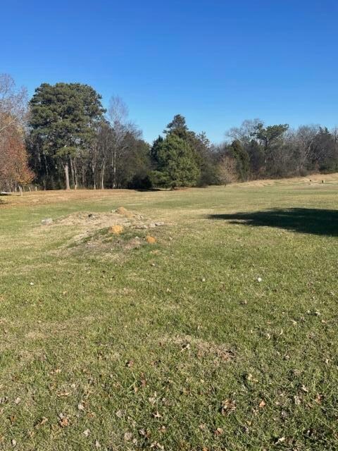 Nice level lot