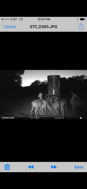 TBD Uz Rd N, Forestburg, TX 76239 - photo 5