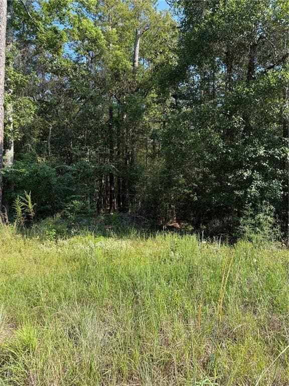 TBD Highway 190, Covington, LA 70433 - photo 2