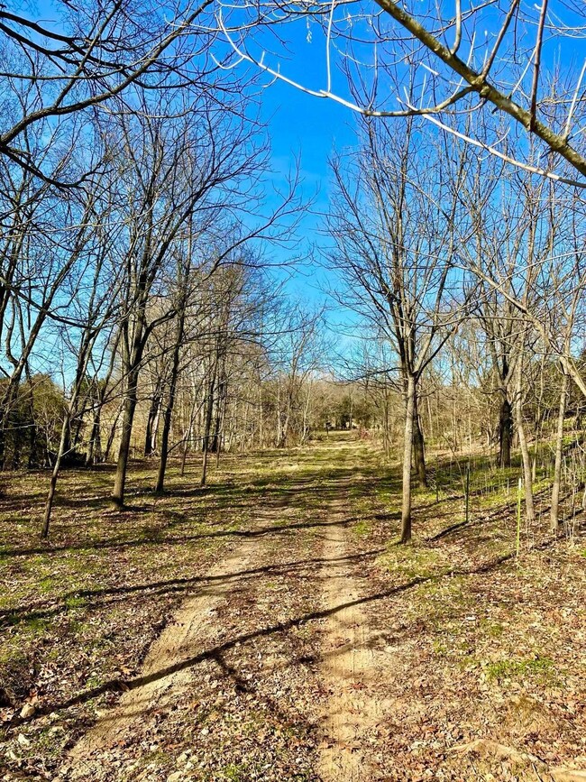 231 Highway 1003, Somerset, KY 42501 - photo 6