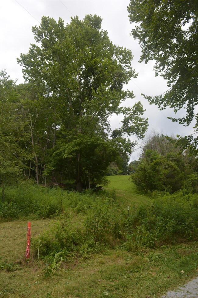 Slight Slope at drive, mostly rolling acreage